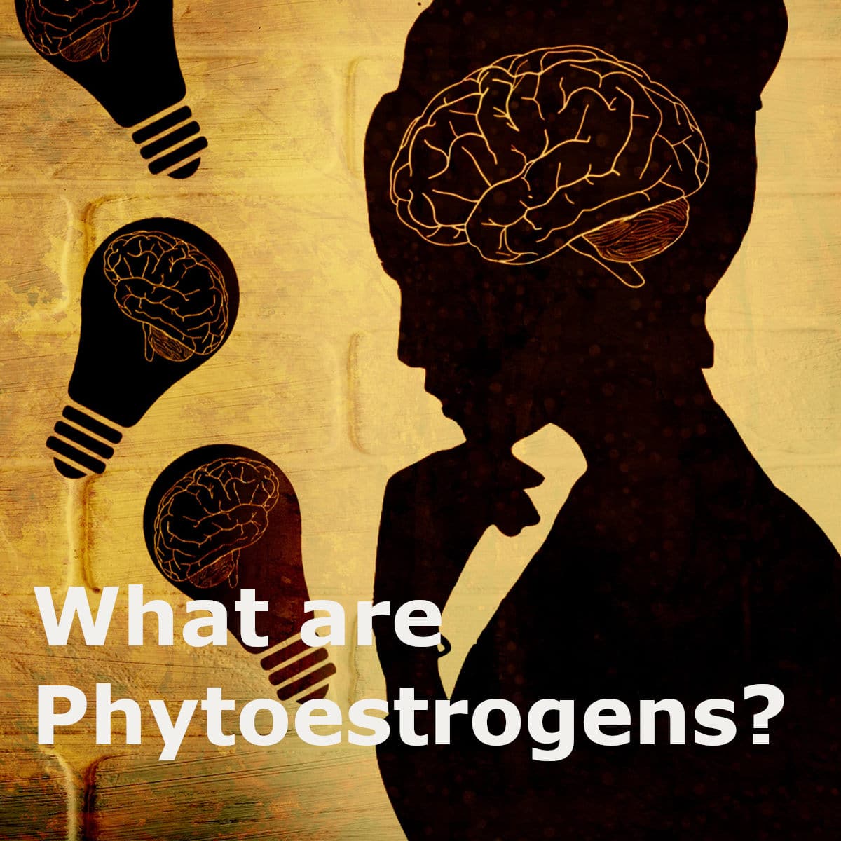 Phytoestrogens & Women's Health: What You Need To Know!